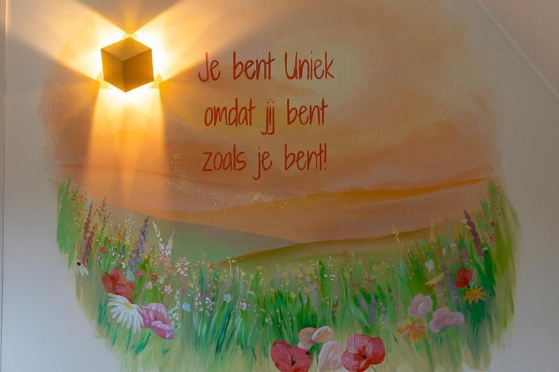 Nieuw: In De Bedstee Uniek! Ferienhaus Winterswijk