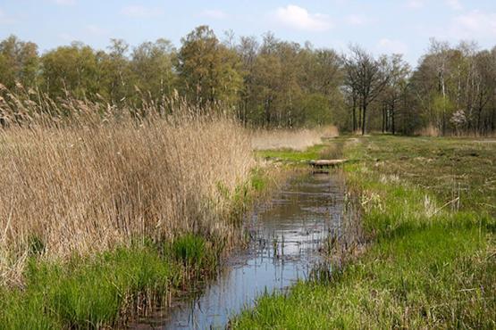 Nieuw: In De Bedstee Uniek! Winterswijk